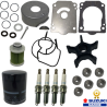 KIT ENTRETIEN DF200AP -150AP - 175AP (à partir de 2015)