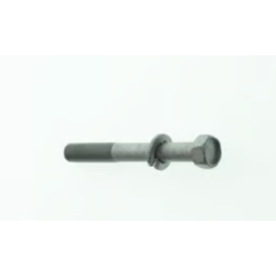 BOLT,10X80