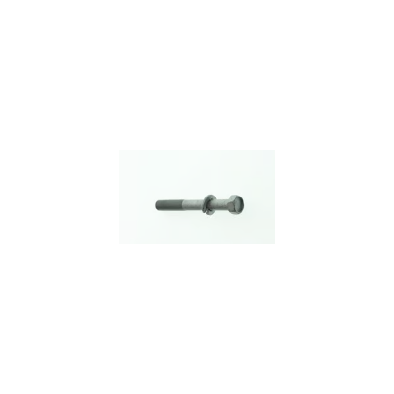 BOLT,10X80