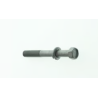 BOLT,10X80