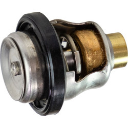 THERMOSTAT DF 70 2007